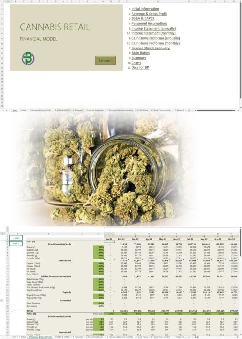cannabis retail financial model