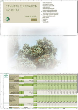 cannabis cultivation retail financial model