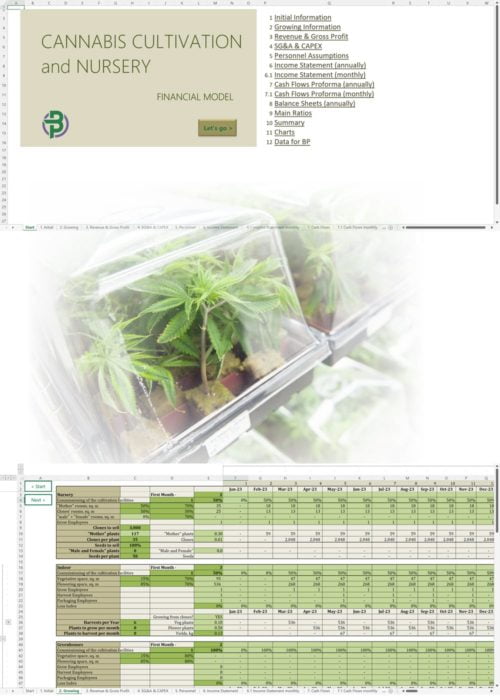 cannabis cultivation nursery financial model