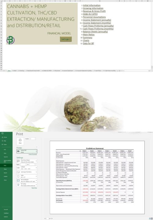 Cannabis and Hemp Vertically Integrated Financial Model